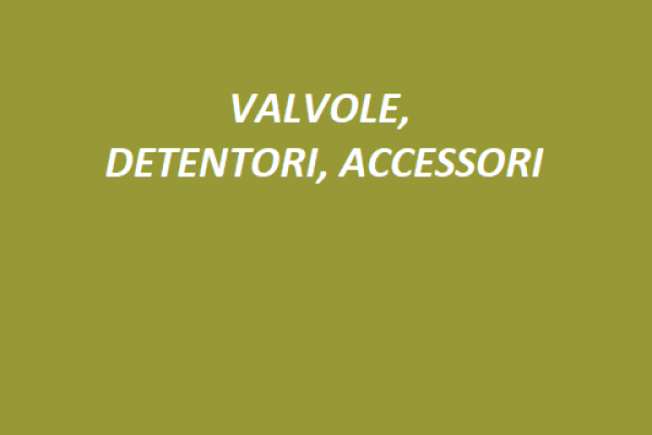 31 VALVOLE, DETENTORI, ACCESSORI