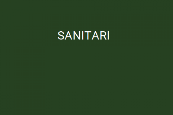 43 SANITARI